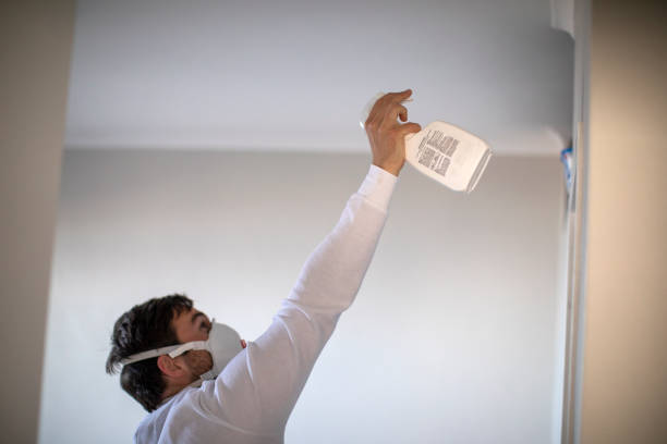 Best Attic Mold Removal  in Ben Lomond, CA