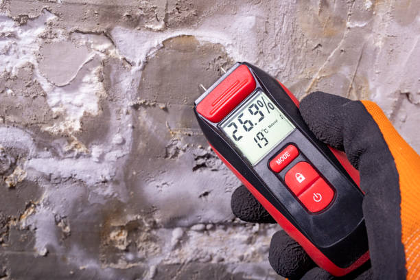 Best Crawl Space Mold Removal  in Ben Lomond, CA